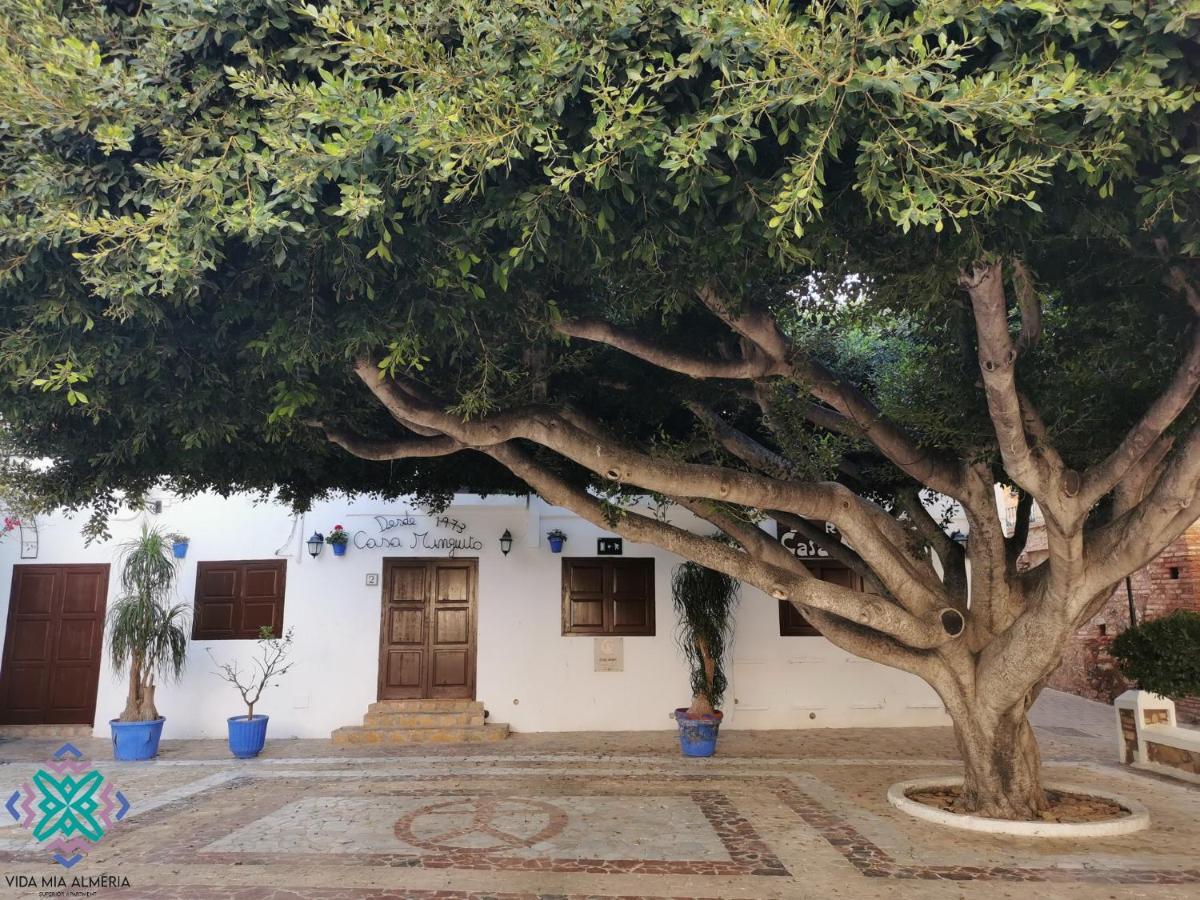 Vida Mia Almeria مْبيرا المظهر الخارجي الصورة
