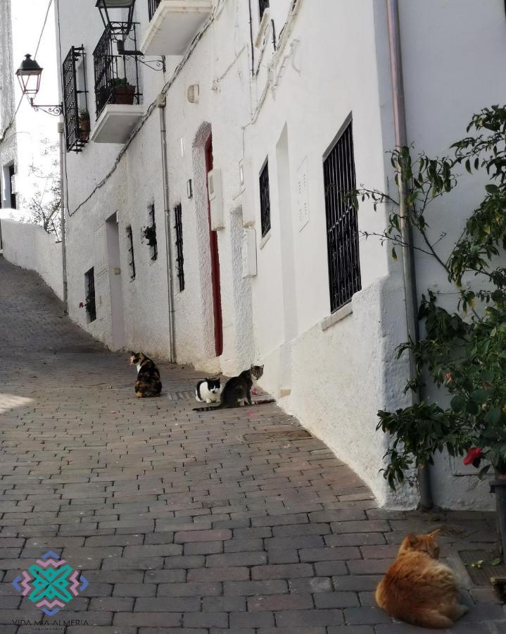 Vida Mia Almeria مْبيرا المظهر الخارجي الصورة